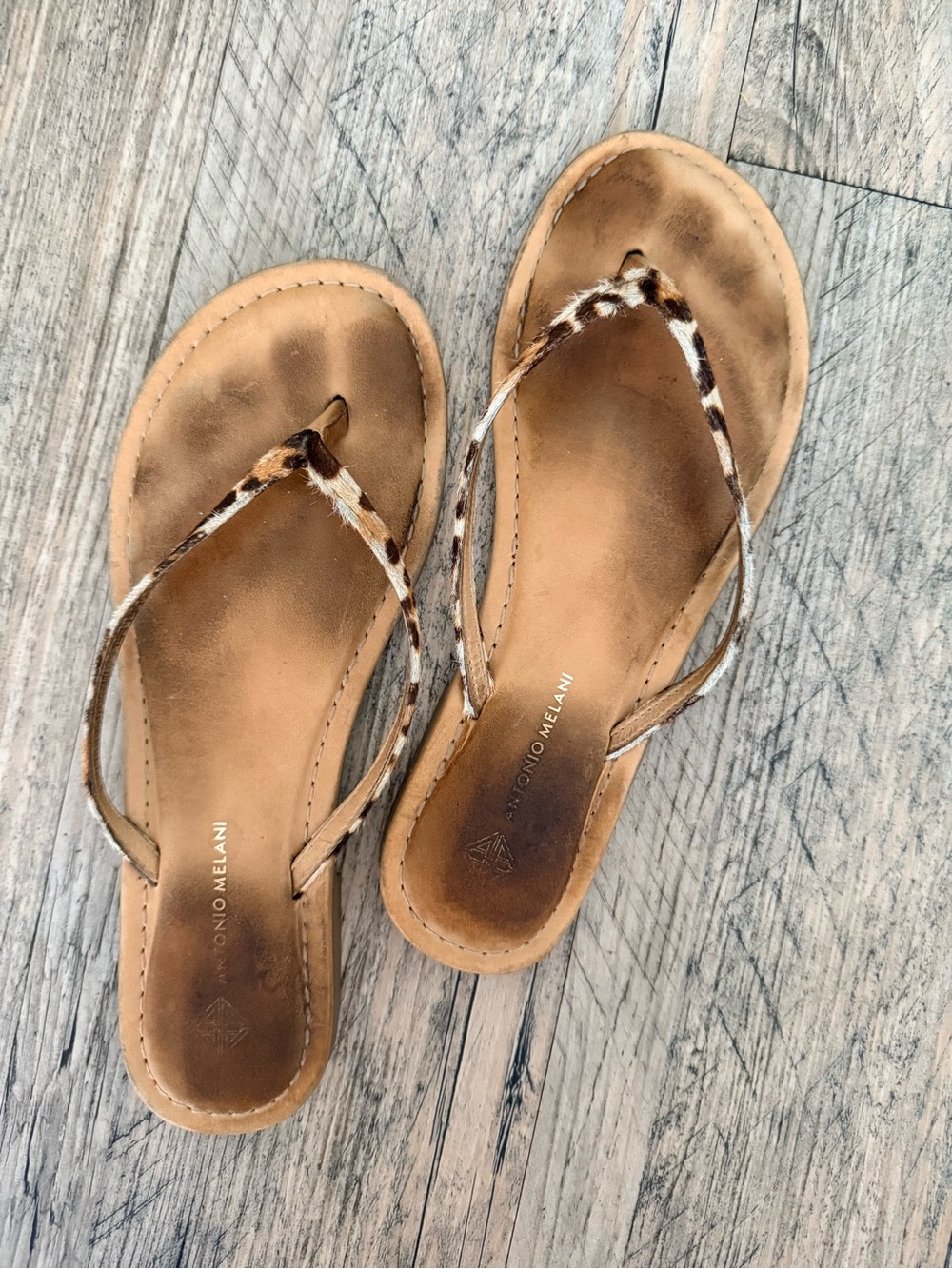 ANTONIO MELANI Leopard-Print Thong Sandals in Brown